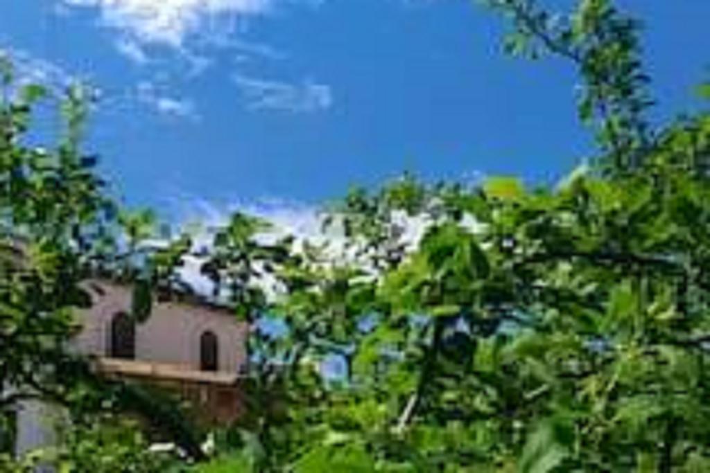 Il Gelsomino Home Holiday อัลคาโม ภายนอก รูปภาพ
